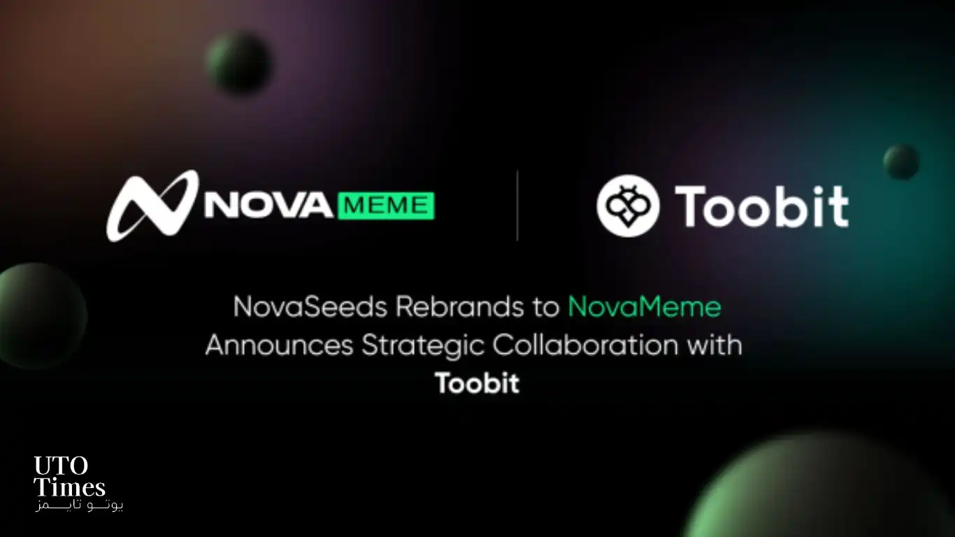 toobit 3 1